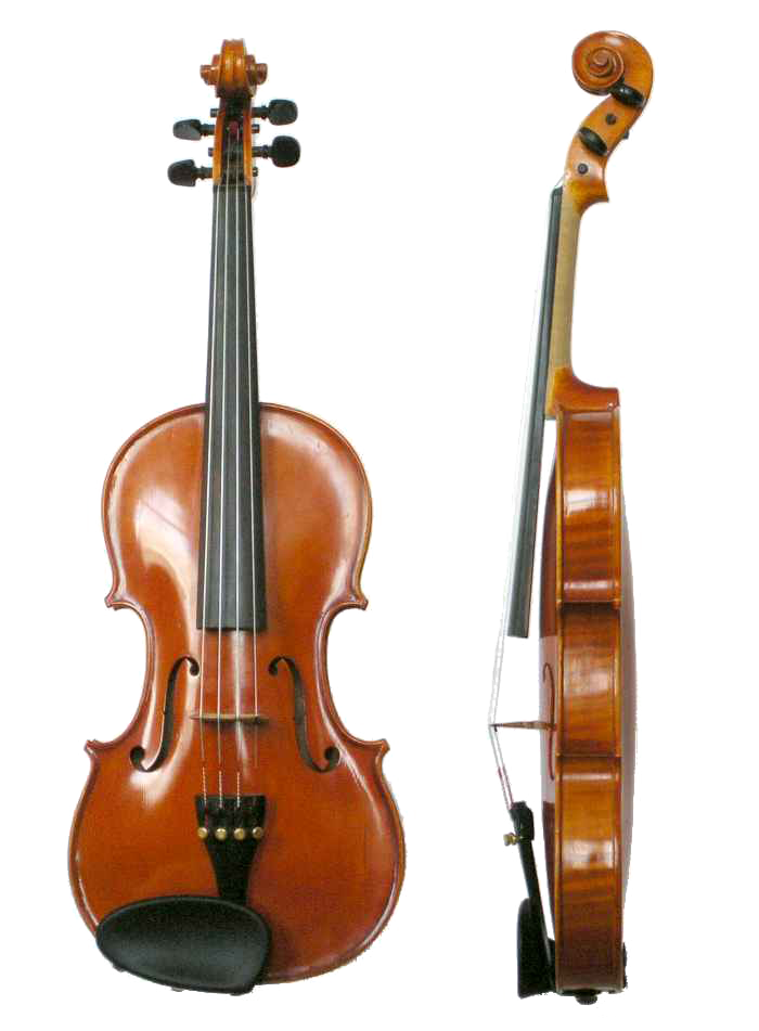 Violin/ Fiddle